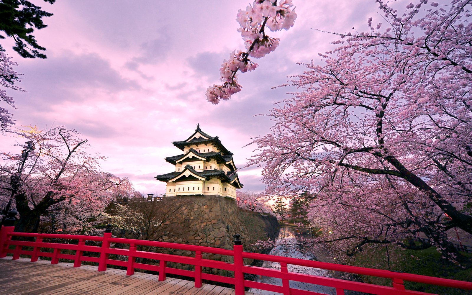 Castillo de Hirosaki, la joya de la prefectura de Aomori