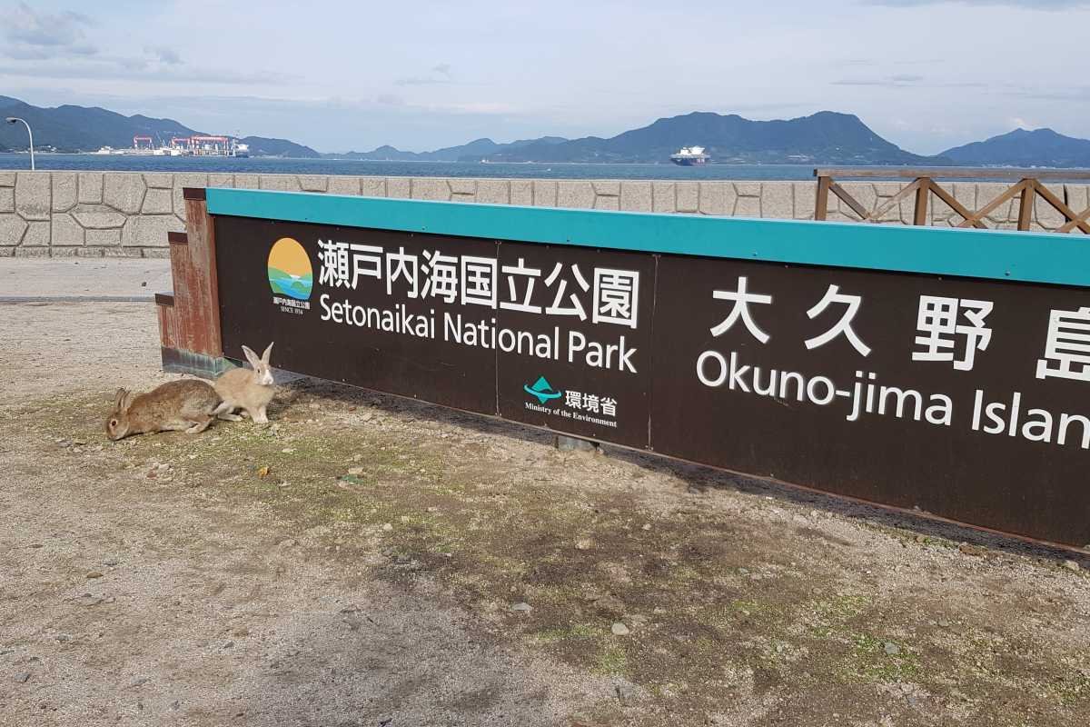 La misteriosa isla de los conejos en Japón