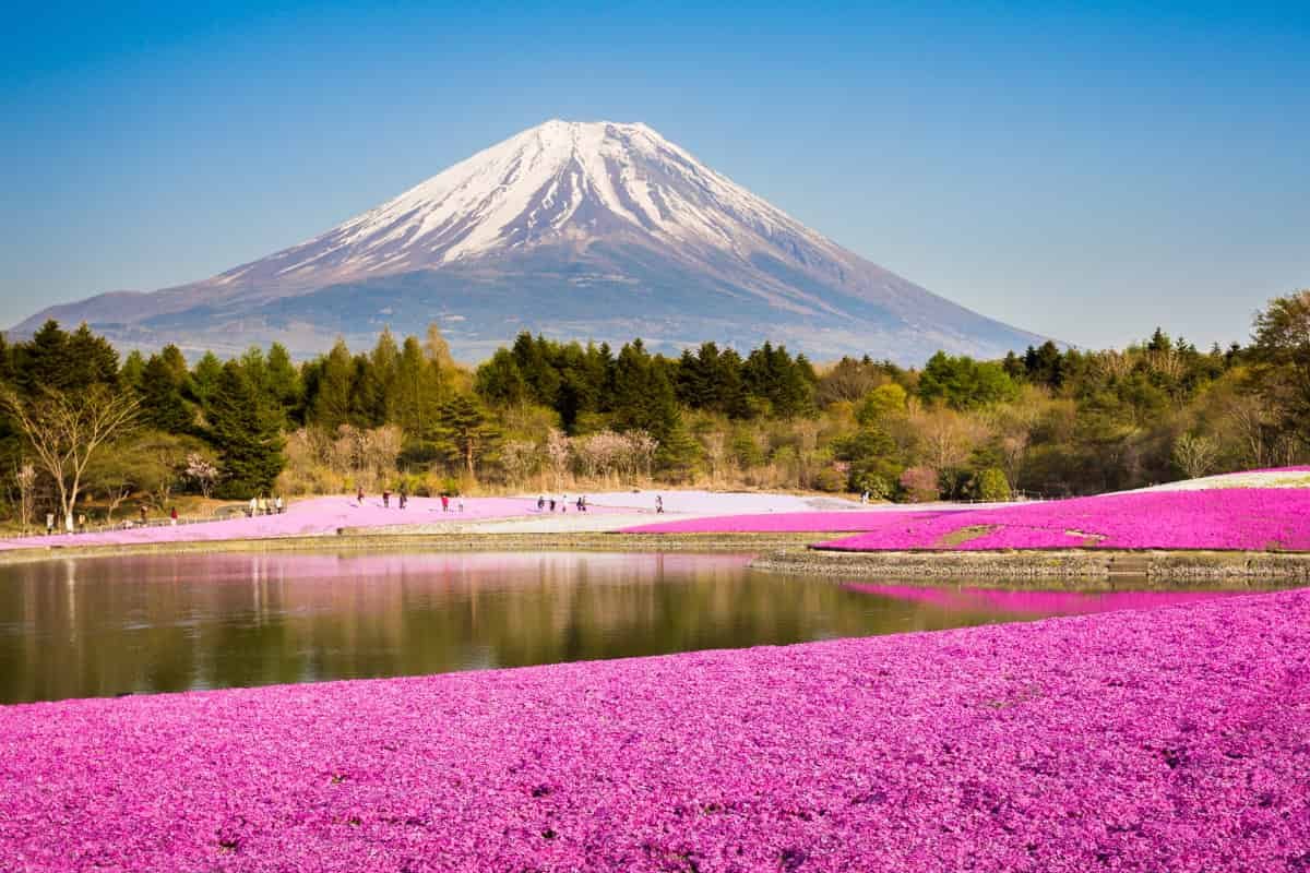 Monte Fuji: habrá que pagar una tasa para visitar la emblemática montaña