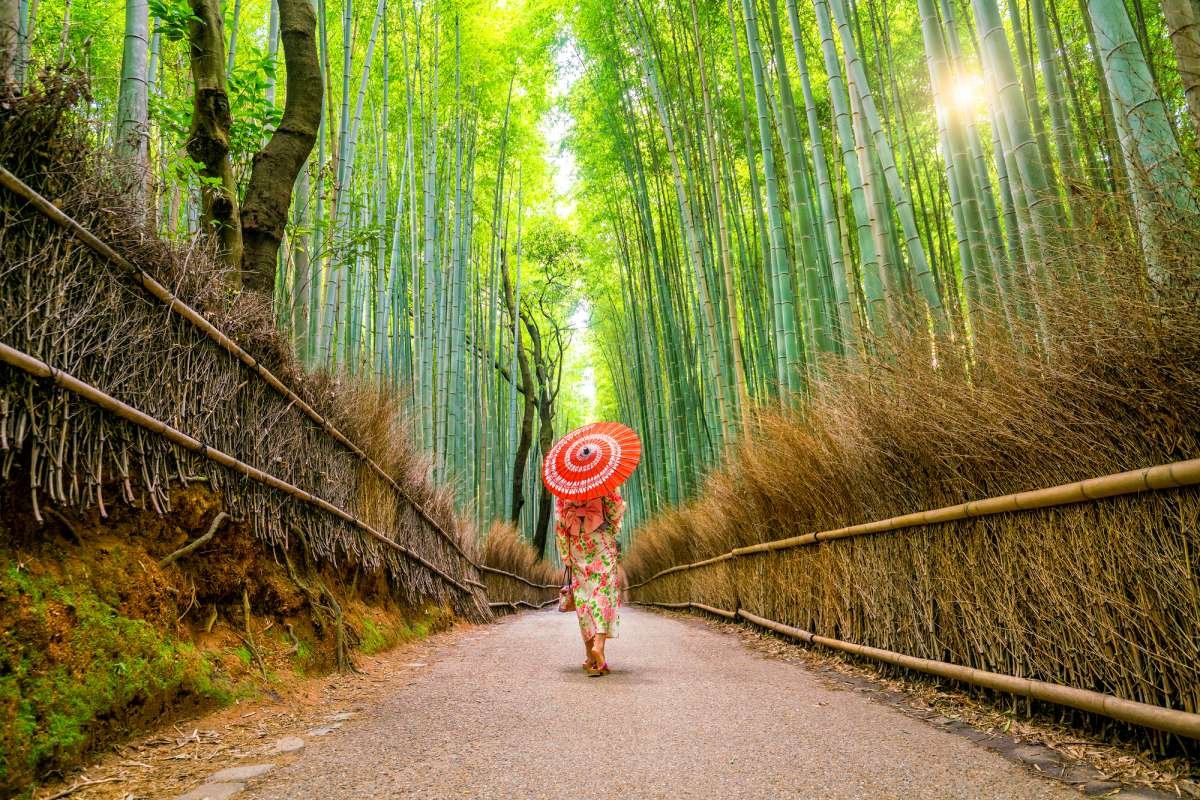 El bosque de bambú de Arashiyama: un tesoro natural en Kioto