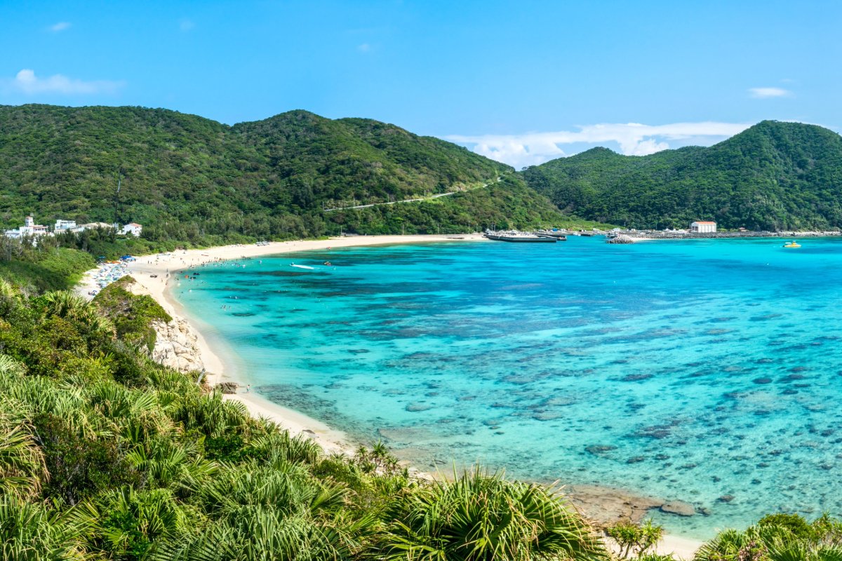 Cuál es la mejor época para viajar a Japón: un recorrido por las cuatro estaciones