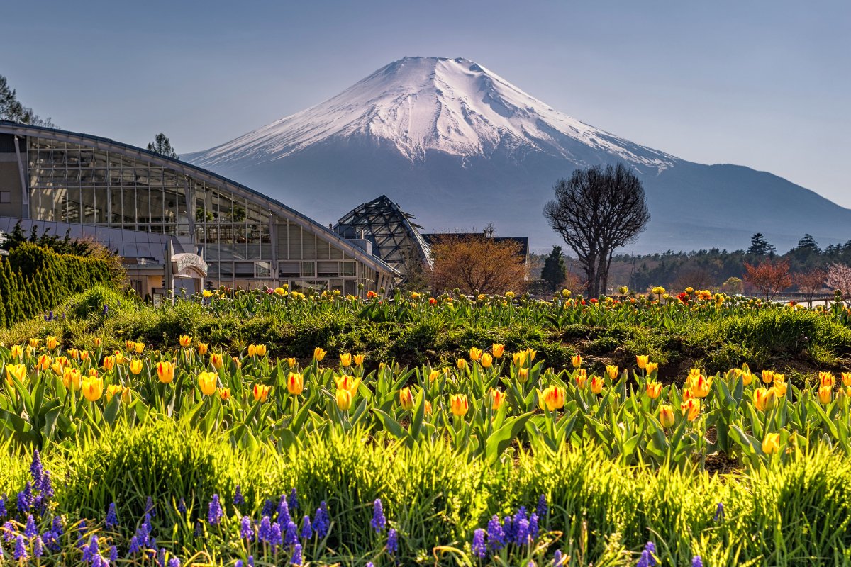 curiosidades sobre japon