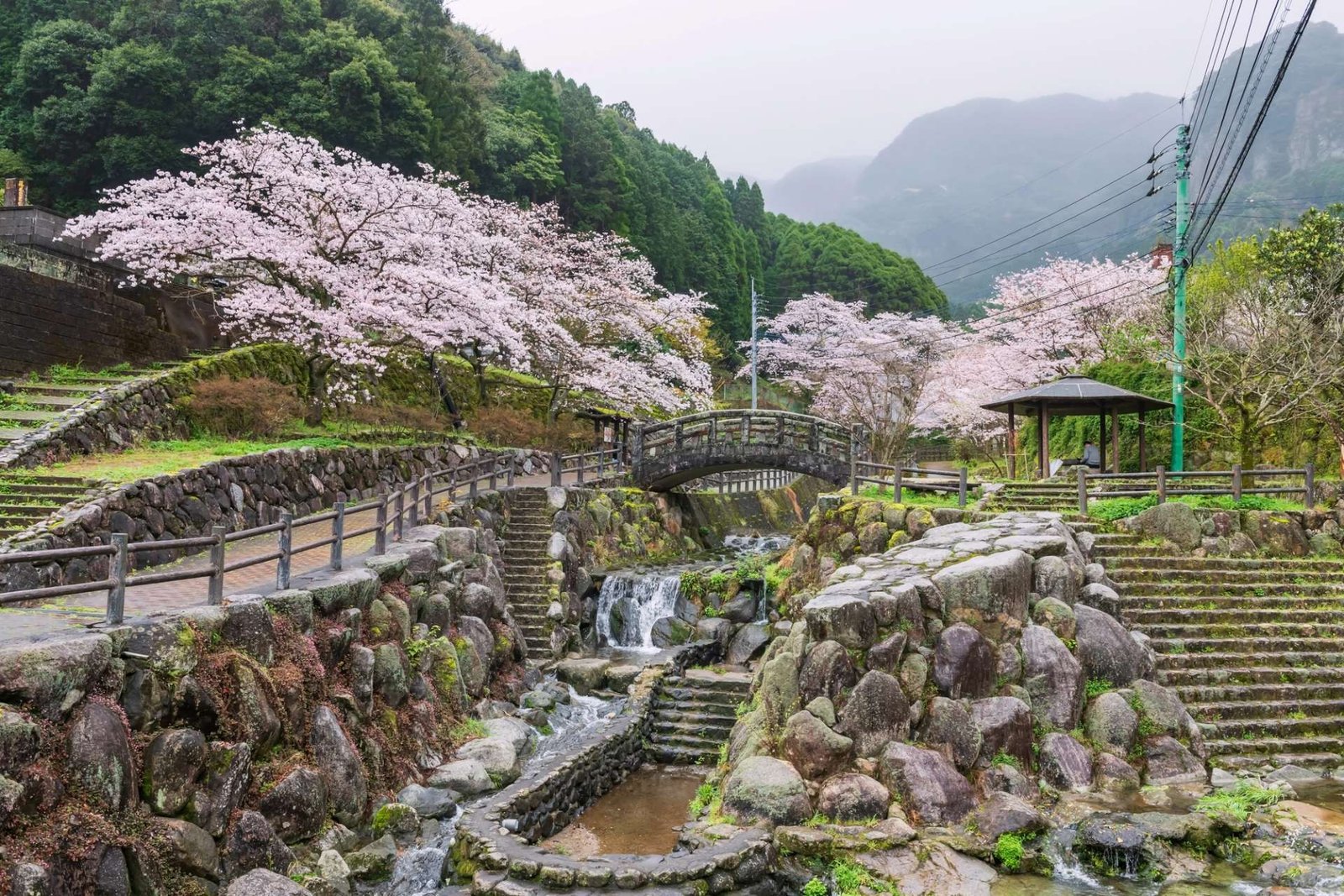 Prefectura de Saga: qué ver y hacer en la joya oculta de Kyushu 2026 Prefectura de Saga: qué ver y hacer en la joya oculta de Kyushu 2026