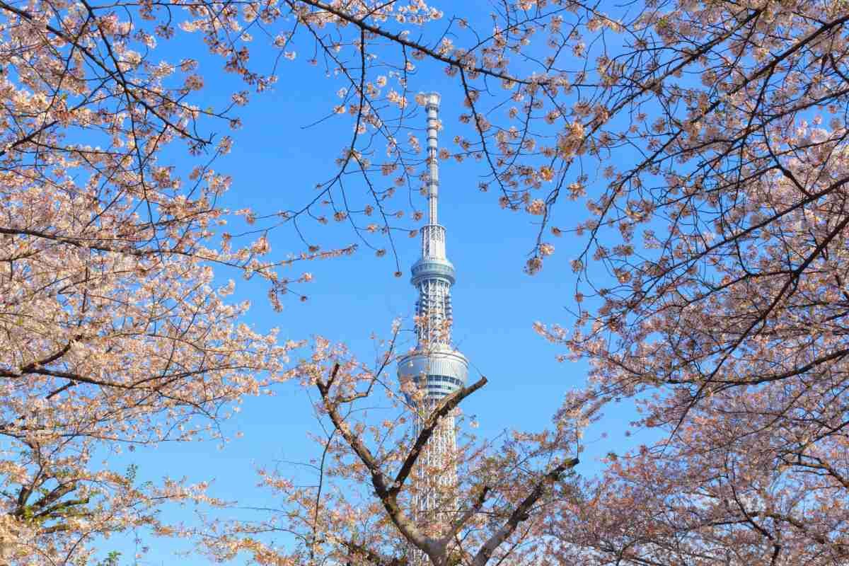 tokyo skytree