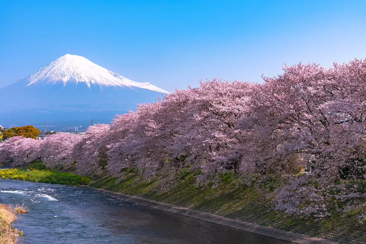 monte fuji depositphotos