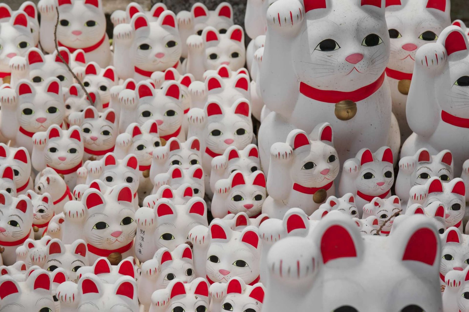 Maneki-neko: historia del gato de la suerte y el templo Gotokuji