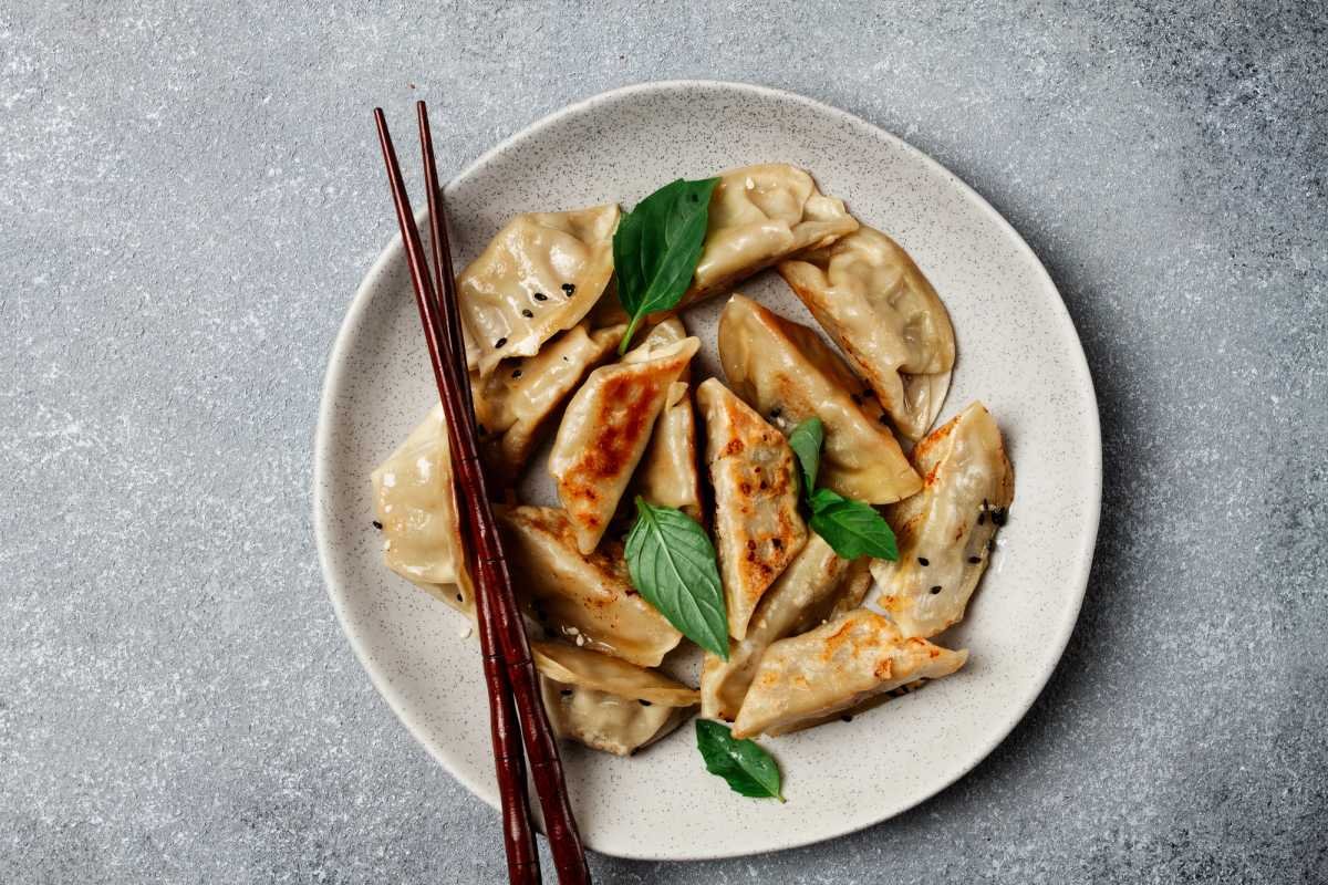 gyoza plato japonés