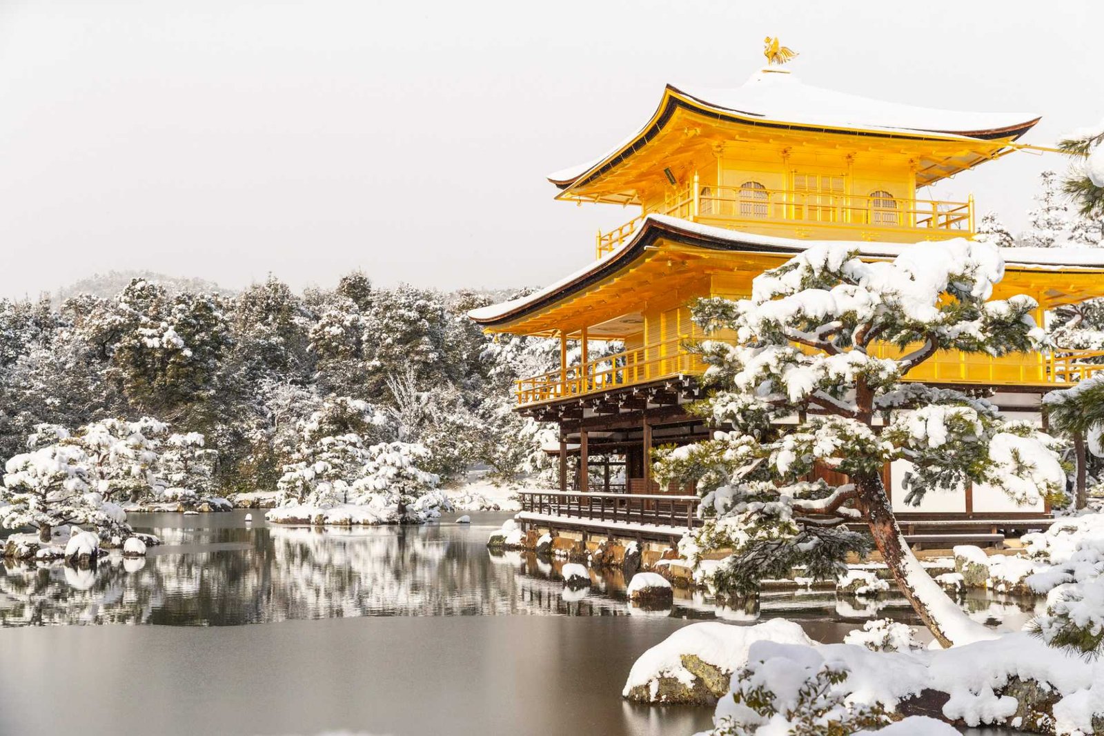 ¿Cuál es la mejor época para viajar a Japón? 2026