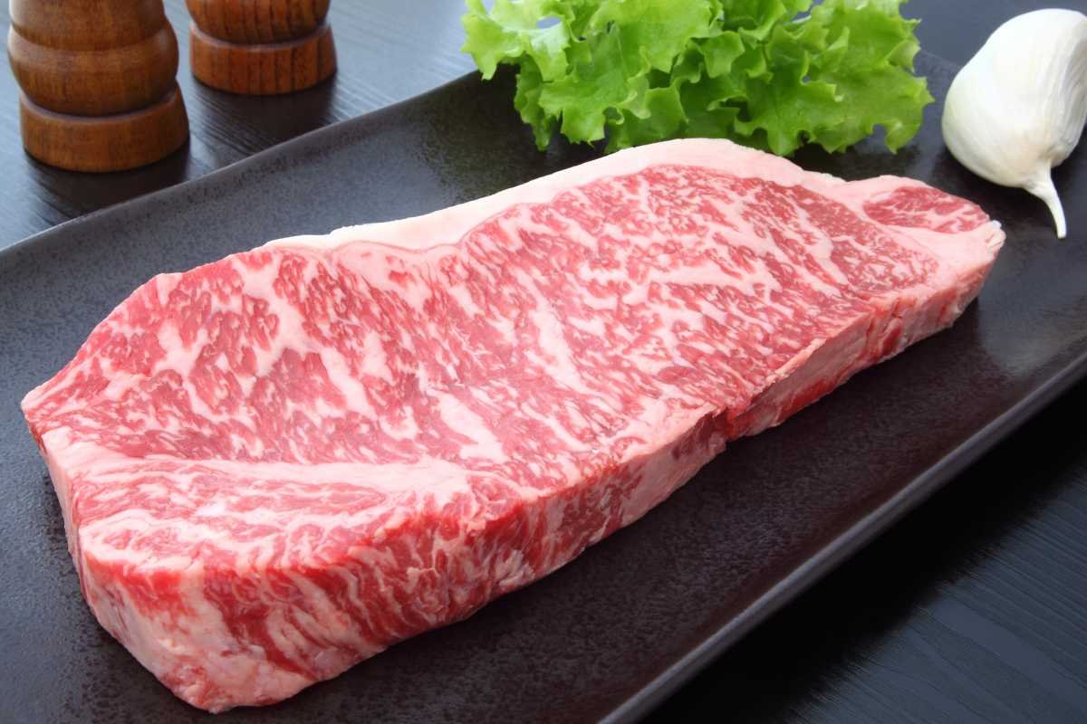 wagyu