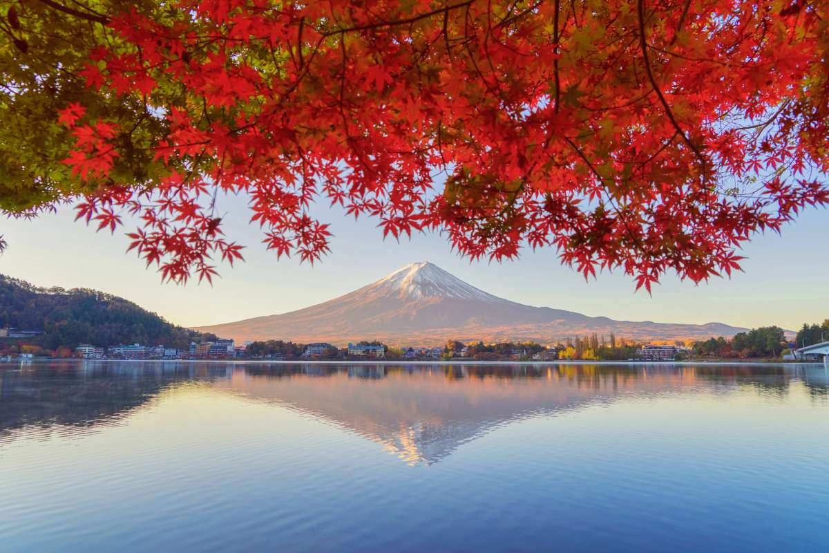 Cosas que nadie te cuenta antes de ir a Japón y que deberías saber 2026 monte fuji japón