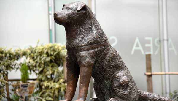 Tours guiados en Japón