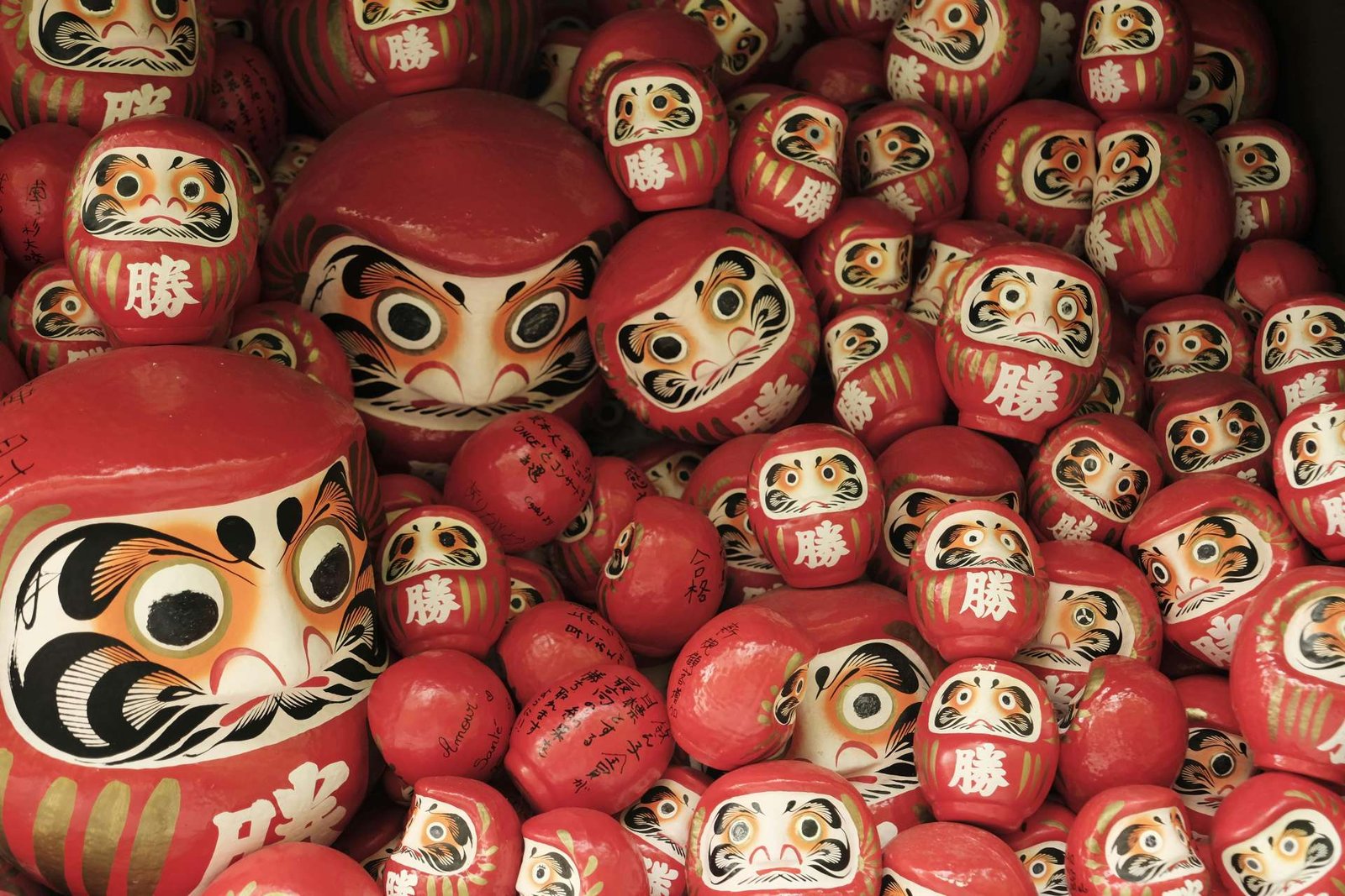daruma