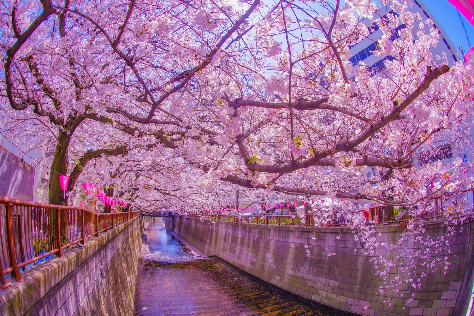 Barrios cool de Tokio: 6 zonas alternativas para vivir como local 2026