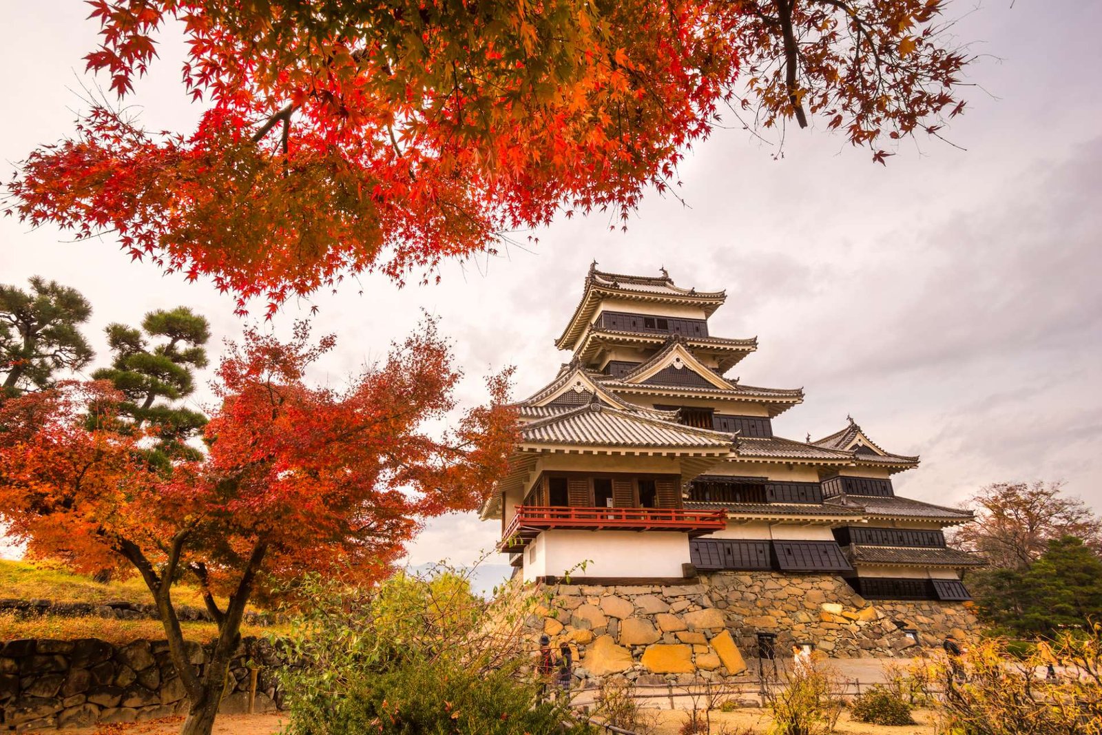 El castillo de Japón que construyeron para la guerra pero terminó con una sala para contemplar la luna 2026 El castillo de Japón que construyeron para la guerra pero terminó con una sala para contemplar la luna 2026