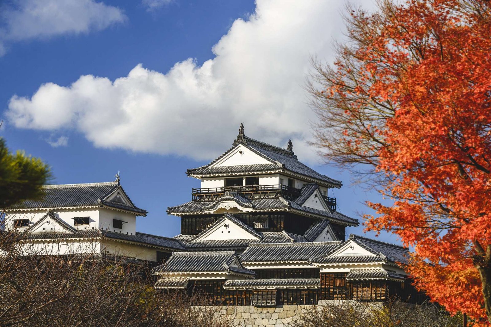 Castillo de Matsuyama: la fortaleza original sobre la ciudad de Ehime 2026