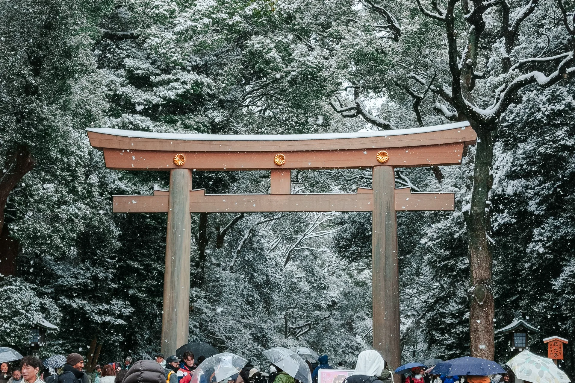 Festivales en Japón en enero 2027: calendario y fechas 2026 Visitantes con paraguas bajo el torii del santuario Meiji nevado, en Tokio