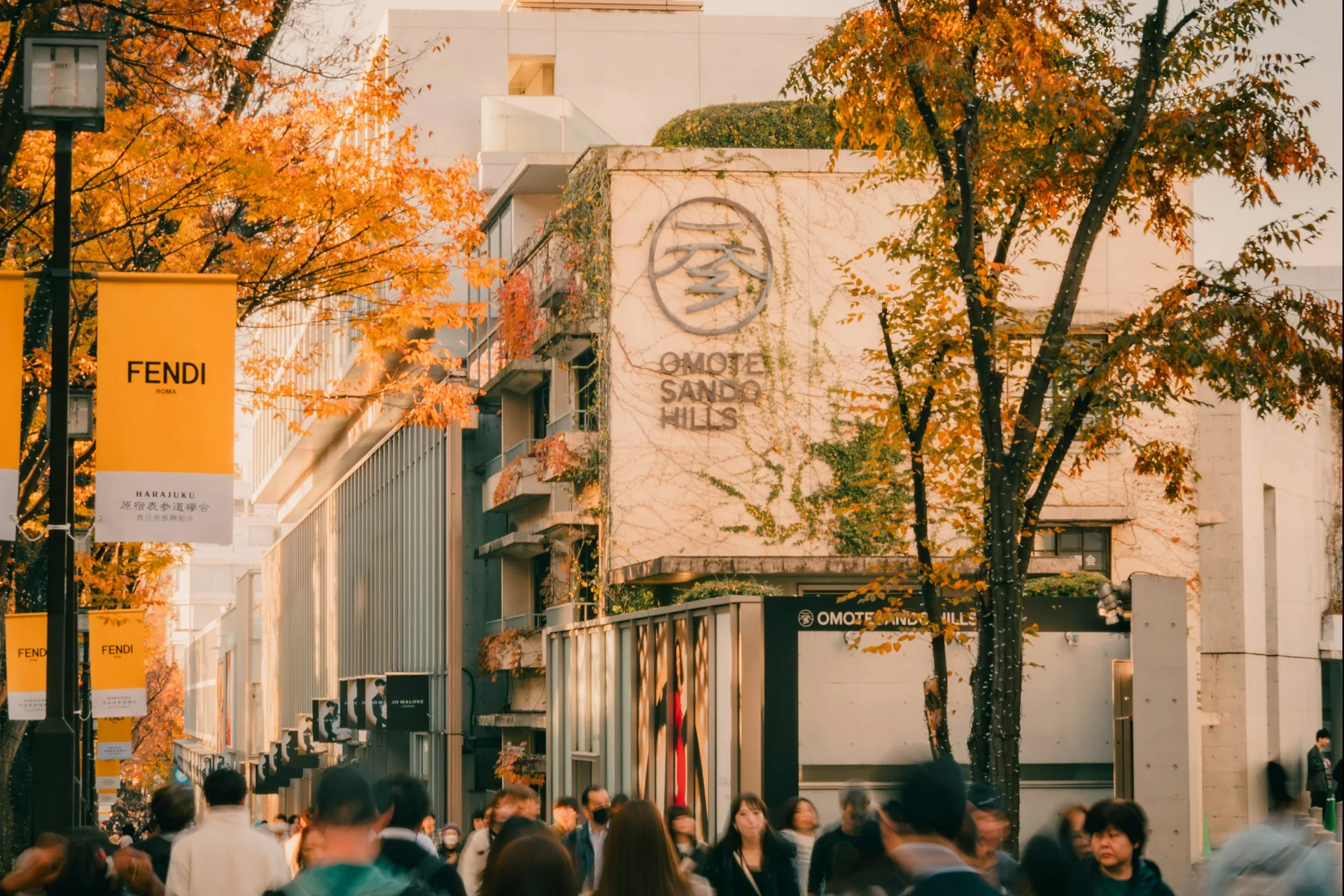 Omotesando: qué ver en la avenida más elegante de Tokio 2026 Avenida Omotesando en otoño, con las zelkovas y la fachada de Omotesando Hills