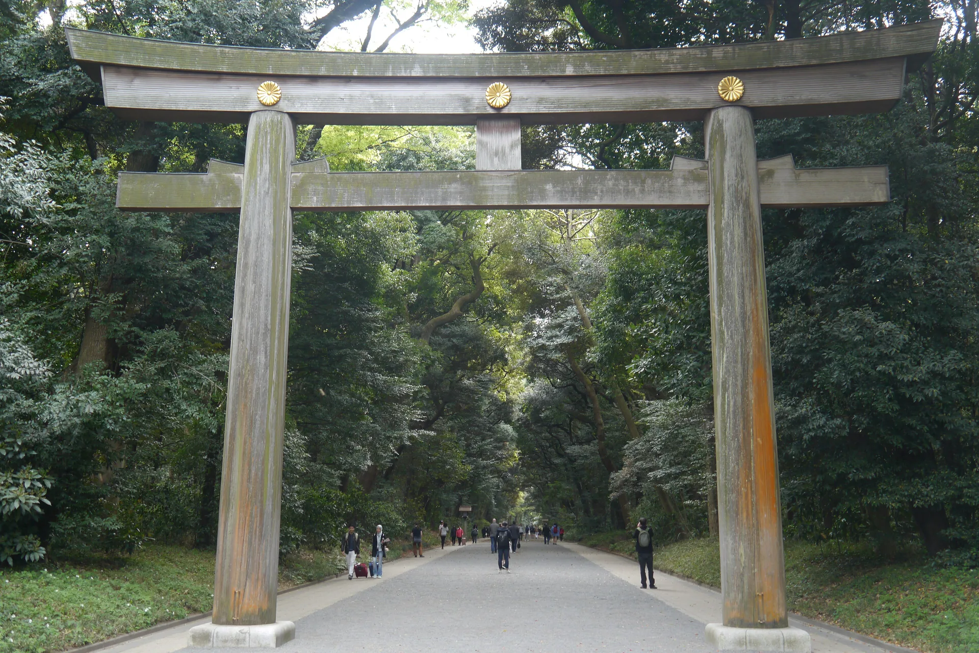 Torii de madera a la entrada del Santuario Meiji en Tokio, rodeado de árboles